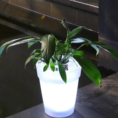 Illuminated Plant Pot Flower Pot With LED Solar Lighting Transparent Flower Basket Lamp Modern Plant Vase Landscape Garden Decor