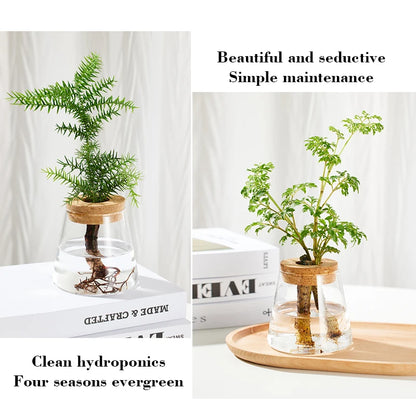 Nordic Simple Transparent Glass Vases Home Decorative Hydroponic Plant Vase Creative Tabletop Ornament Flower Arrangement Bottle