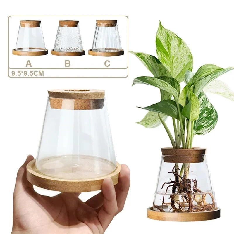 Vases en verre Transparent simples nordiques, décoration de maison, Vase à plantes hydroponiques, ornement de table créatif, bouteille d'arrangement de fleurs